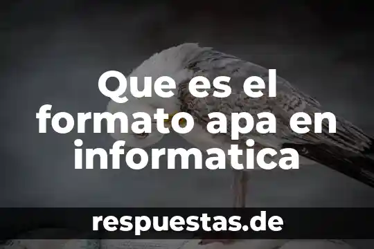 Que es el formato apa en informatica