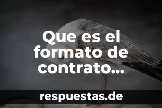 Que es la fuente de la historia 7 Que es el formato de contrato individual