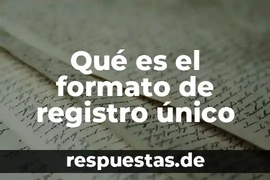 Qué es el registro de valores 5 Qué es el formato de registro único