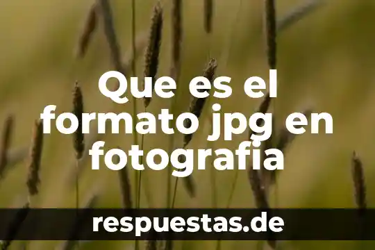 Que es un formato jpg y png 6 Que es el formato jpg en fotografia