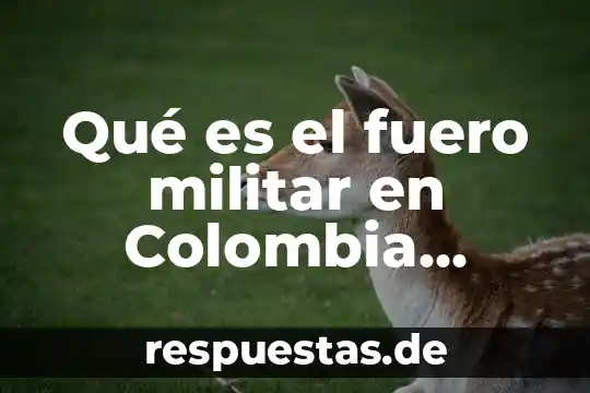 Que es renunciar al fuero de una demanda civil 4 Qué es el fuero militar en Colombia definición