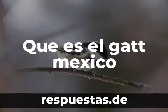 Que es herencia cultural de mexico 6 Que es el gatt mexico