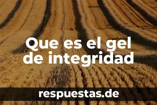 Qué es gel vpn en economía 3 Que es el gel de integridad