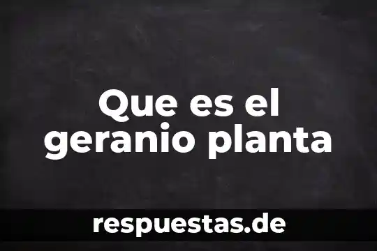 Que es la planta sanagachi 6 Que es el geranio planta