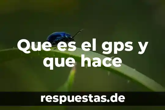Que es lo que les hace ser reptiles 6 Que es el gps y que hace