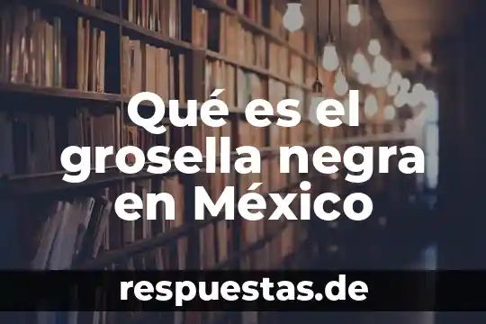 Qué es justicia administrativa en México 4 Qué es el grosella negra en México