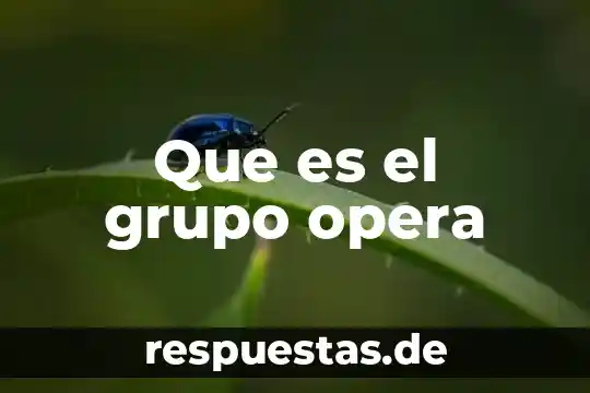 Que es opera concepto 4 Que es el grupo opera