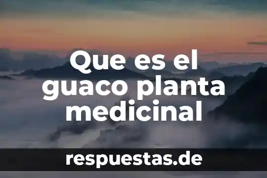 Qué es seguridad WPA PSK 8 Que es el guaco planta medicinal