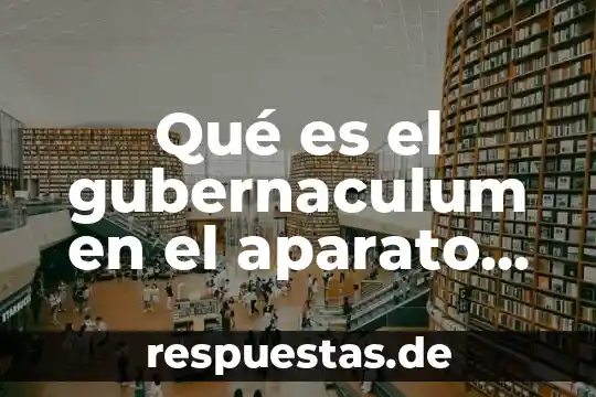 Sistema reproductor que es 7 Qué es el gubernaculum en el aparato reproductor del hombre