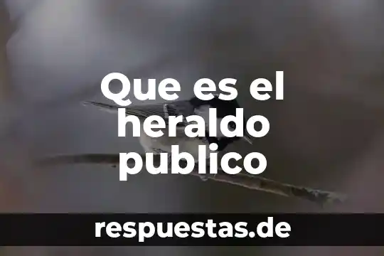Que es el heraldo publico