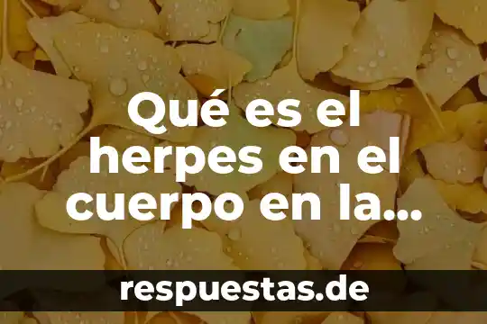 Qué es el herpes en el cuerpo en la metafísica