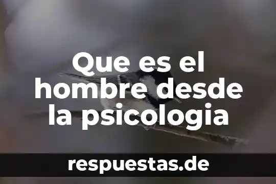 Que es un animal gregario 5 Que es el hombre desde la psicologia