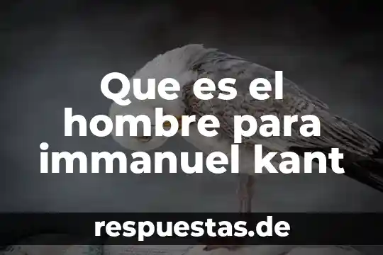 Según Kant que es una paradoja 7 Que es el hombre para immanuel kant