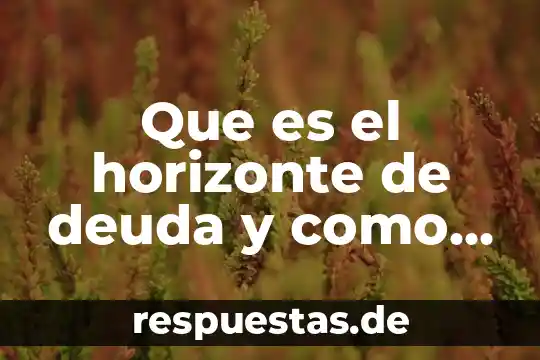 ¿Qué es ácido cítrico, dónde lo compro, tiene otro nombre? 8 Que es el horizonte de deuda y como se calcula