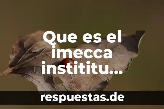 Que es la competitividad de la calidad 3 Que es el imecca instititu mexicano del control de calidad