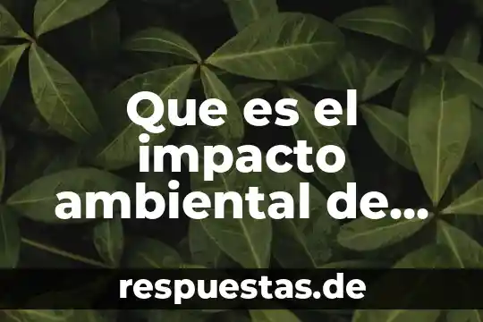 Qué es nombres propios en inglés 4 Que es el impacto ambiental de una empresa