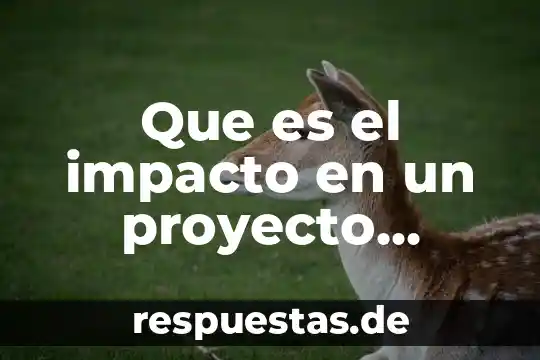 Que es snapchat y su impacto en la sociedad 5 Que es el impacto en un proyecto turistico