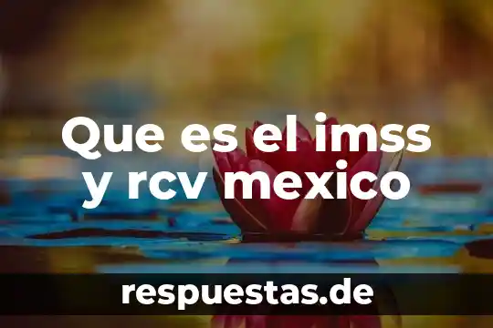 Que es la ce mexico 5 Que es el imss y rcv mexico