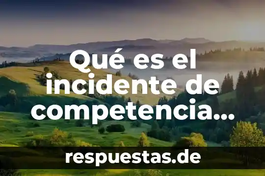 Unidad de competencia que es 6 Qué es el incidente de competencia concepto
