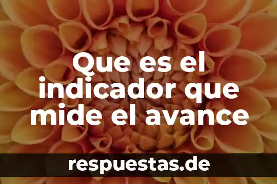 Que es un indicador con integridad 6 Que es el indicador que mide el avance