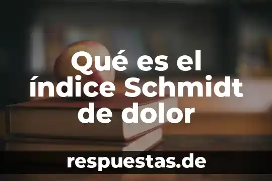 Qué es monedero virtual definición 4 Qué es el índice Schmidt de dolor