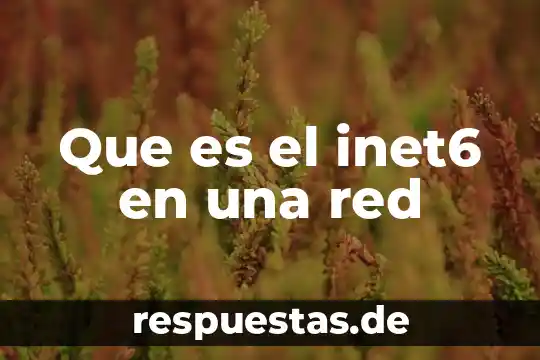Qué es red de plancton 7 Que es el inet6 en una red