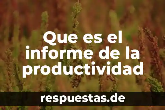 Qué es el índice de productividad IP7 3 Que es el informe de la productividad