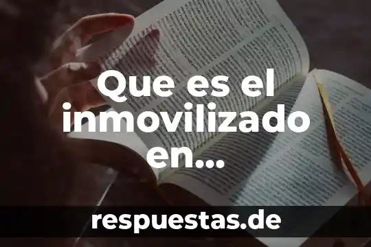 Que es el inmovilizado en contabilidad