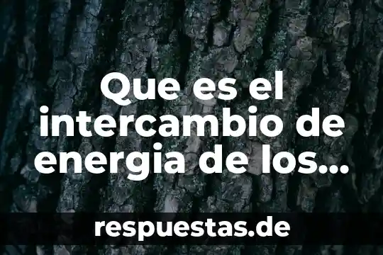 Que es el intercambio de energia de los seres vivos