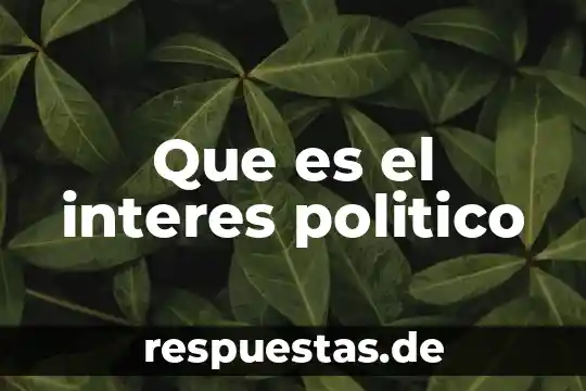 Que es el interes politico
