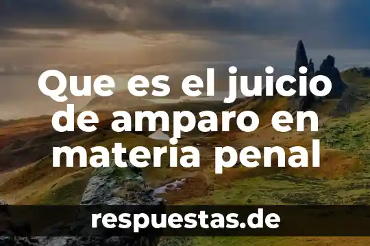 Que es el principio de instancia de parte en amparo 5 Que es el juicio de amparo en materia penal