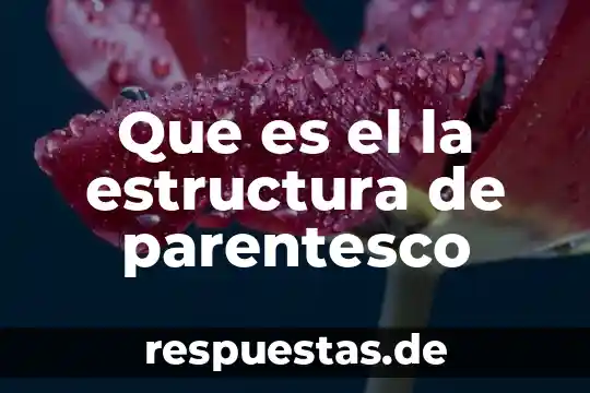 Qué es un grupo ectínico 3 Que es el la estructura de parentesco