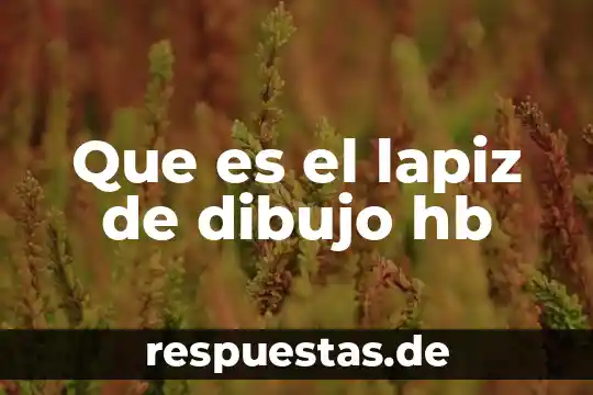 Que es en cepillo de dibujo 8 Que es el lapiz de dibujo hb