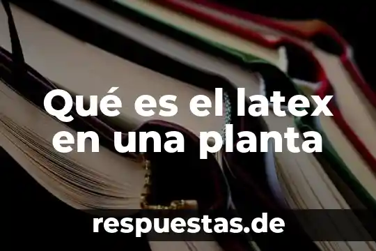 Que es una vista de planta arquitectonica 7 Qué es el latex en una planta