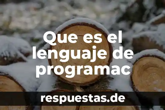 Qué es un lenguaje numérico 5 Que es el lenguaje de programac