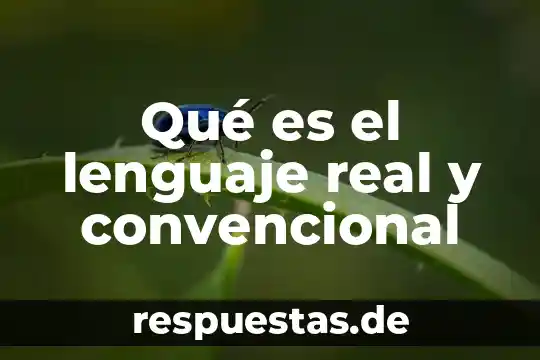 ¿Qué es el lenguaje de símbolos o pictograma? 8 Qué es el lenguaje real y convencional