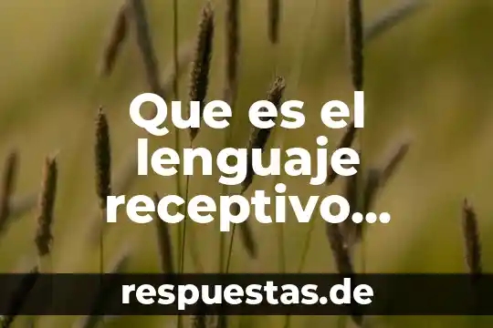 Que es el lenguaje receptivo expresivo y articulado