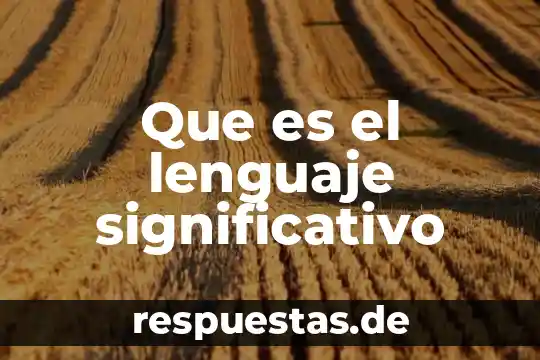 Que es conocimiento significativo 4 Que es el lenguaje significativo
