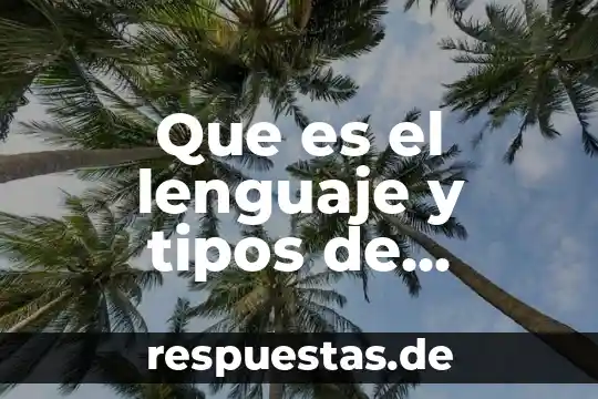 Qué es prótesis en lenguaje 4 Que es el lenguaje y tipos de lenguaje