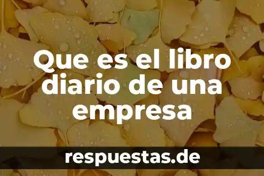 Que es un libro diario y mayor 6 Que es el libro diario de una empresa