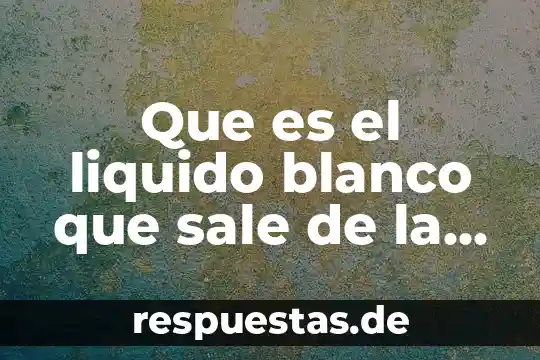 Que es liquido amarillo viscoso que sale de la vagina 4 Que es el liquido blanco que sale de la vulva