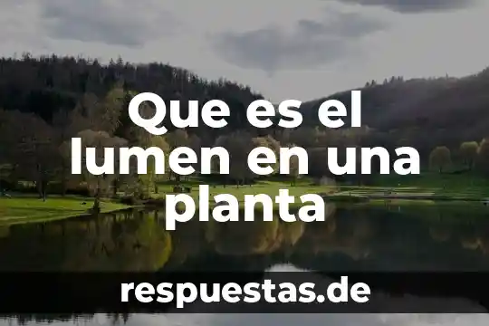 Que es una planta telefónica 5 Que es el lumen en una planta