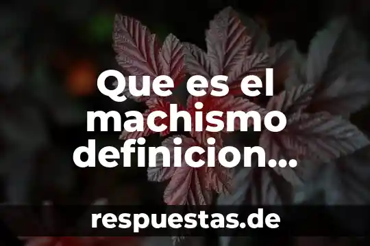 Que es ser machismo 6 Que es el machismo definicion breve