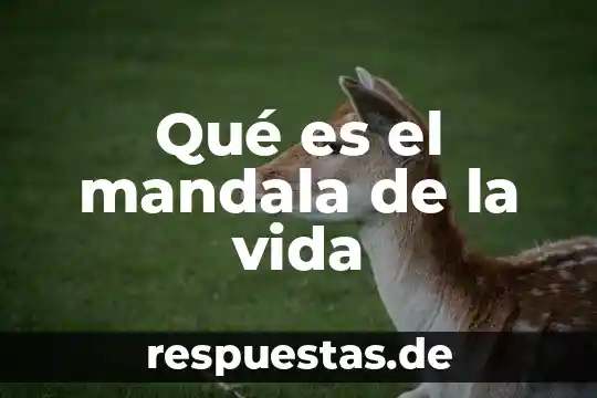 Que es una vida feliz 4 Qué es el mandala de la vida