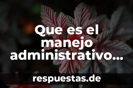 Qué es amortización de capital definición 3 Que es el manejo administrativo del capital intelectual de bmw