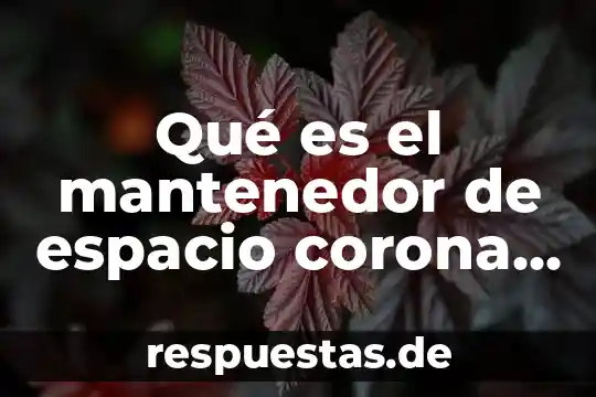Que es la contaminacion del espacio 5 Qué es el mantenedor de espacio corona ansa