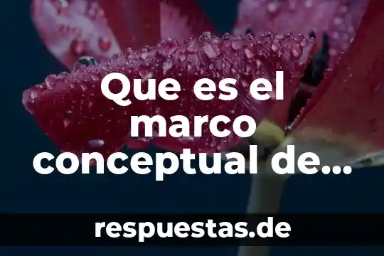 Qué es un mapa conceptual significado 8 Que es el marco conceptual de un proyecto ejemplo