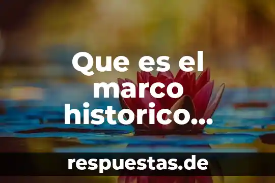 Que es el nucleolo dela celula animal 8 Que es el marco historico metodologia dela investigacion
