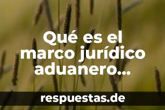 Conocimiento jurídico que es 5 Qué es el marco jurídico aduanero mexicano