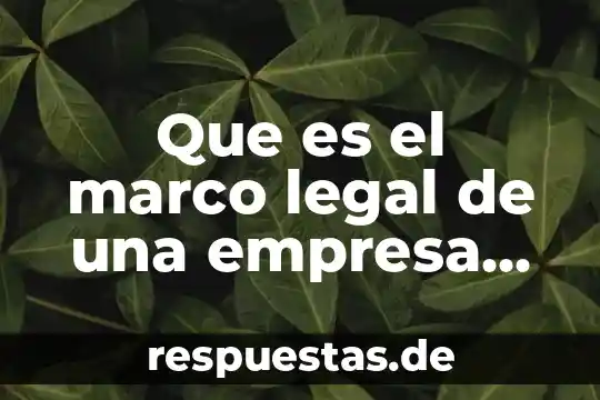 Que es el nombre legal en derecho 7 Que es el marco legal de una empresa en medico